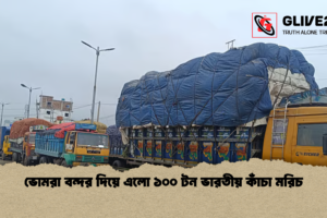 ভোমরা বন্দর দিয়ে এলো ১০০ টন ভারতীয় কাঁচা মরিচ