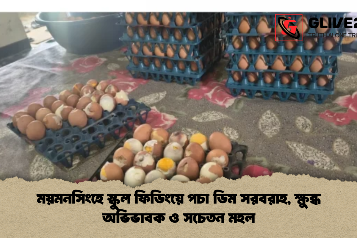 ময়মনসিংহে স্কুল ফিডিংয়ে পচা ডিম সরবরাহ, ক্ষুব্ধ অভিভাবক ও সচেতন মহল