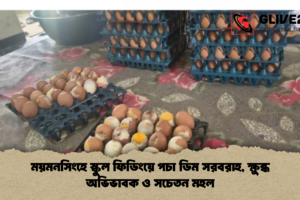 ময়মনসিংহে স্কুল ফিডিংয়ে পচা ডিম সরবরাহ, ক্ষুব্ধ অভিভাবক ও সচেতন মহল