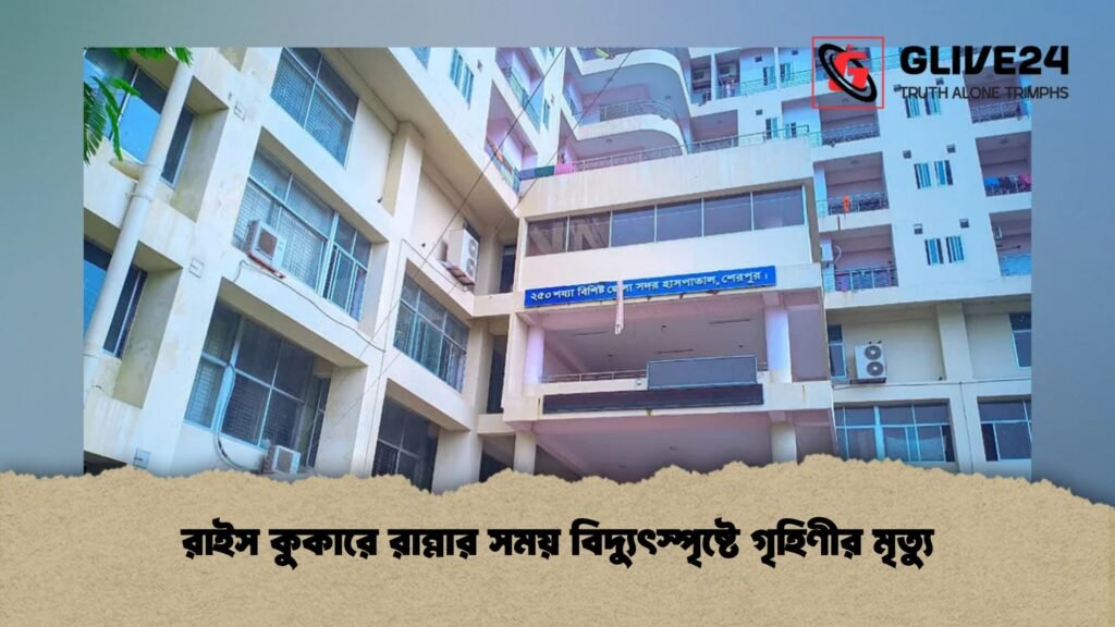 রাইস কুকারে রান্নার সময় বিদ্যুৎস্পৃষ্টে গৃহিণীর মৃত্যু