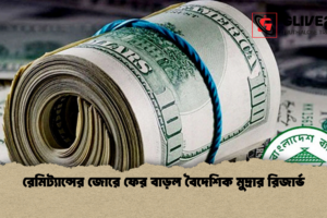 রেমিট্যান্সের জোরে ফের বাড়ল বৈদেশিক মুদ্রার রিজার্ভ