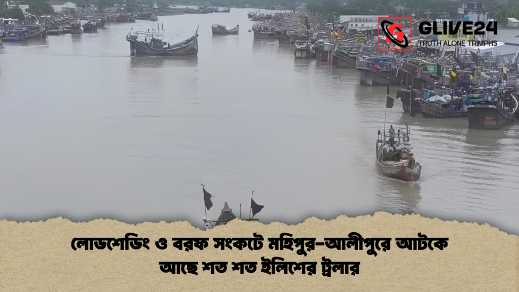লোডশেডিং ও বরফ সংকটে মহিপুর আলীপুরে আটকে আছে শত শত ইলিশের ট্রলার 1 লোডশেডিং ও বরফ সংকটে মহিপুর-আলীপুরে আটকে আছে শত শত ইলিশের ট্রলার