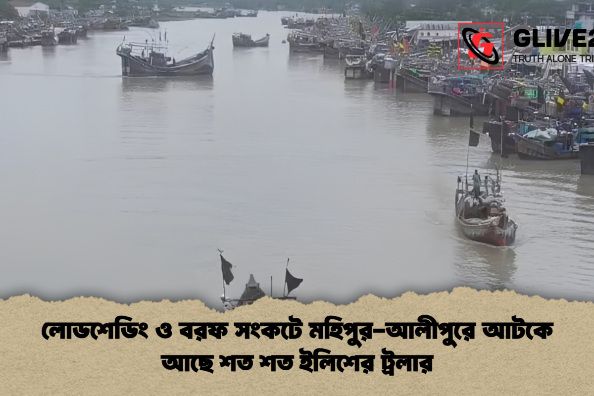 লোডশেডিং ও বরফ সংকটে মহিপুর-আলীপুরে আটকে আছে শত শত ইলিশের ট্রলার