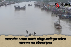লোডশেডিং ও বরফ সংকটে মহিপুর-আলীপুরে আটকে আছে শত শত ইলিশের ট্রলার