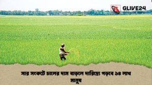 সার সংকটে চালের দাম বাড়লে দারিদ্র্যে পড়বে ১৪ লাখ মানুষ সার সংকটে চালের দাম বাড়লে দারিদ্র্যে পড়বে ১৪ লাখ মানুষ