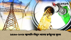 ১৯৯৬-২০০১ জ্বালানি-বিদ্যুৎ খাতের স্বর্ণযুগের সূচনা