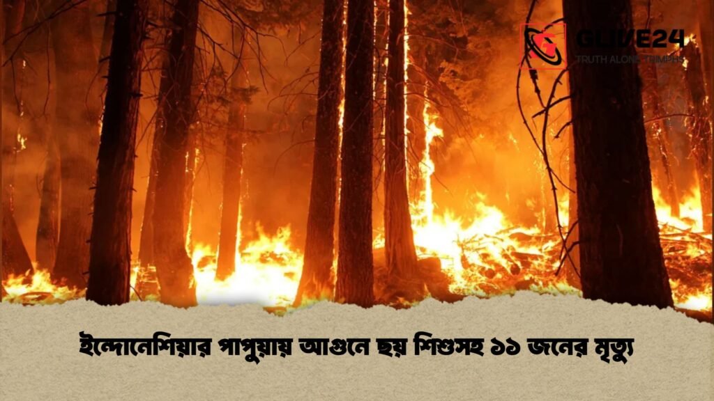 ইন্দোনেশিয়ার পাপুয়ায় আগুনে ছয় শিশুসহ ১১ জনের মৃত্যু