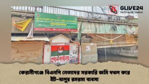 কেরানীগঞ্জে বিএনপি নেতাদের সরকারি জমি দখল করে ইট-বালুর রমরমা ব্যবসা