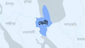 গ্রিল কেটে ঘরে প্রবেশ, ফেনীতে প্রবাসীকে কুপিয়ে ডাকাতি