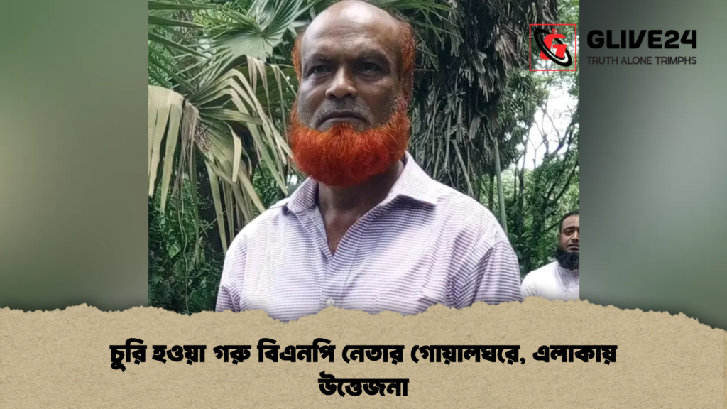 চুরি হওয়া গরু বিএনপি নেতার গোয়ালঘরে, এলাকায় উত্তেজনা