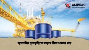 জ্বালানির মূল্যবৃদ্ধিতে বাড়ছে বীমা খাতের ব্যয়