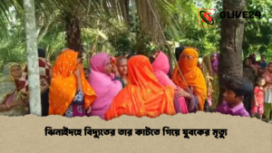 ঝিনাইদহে বিদ্যুতের তার কাটতে গিয়ে যুবকের মৃত্যু ঝিনাইদহে বিদ্যুতের তার কাটতে গিয়ে যুবকের মৃত্যু