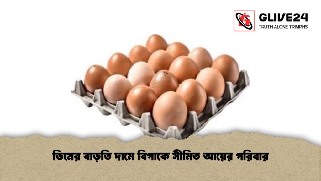 ডিমের বাড়তি দামে বিপাকে সীমিত আয়ের পরিবার