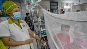 ডেঙ্গুতে আরও পাঁচ মৃত্যু, এক দিনে হাসপাতালে ১,৩২৪ ডেঙ্গুতে আরও পাঁচ মৃত্যু এক দিনে হাসপাতালে ১৩২৪ ডেঙ্গুতে আরও পাঁচ মৃত্যু, এক দিনে হাসপাতালে ১,৩২৪