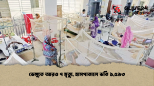 ডেঙ্গুতে আরও ৭ মৃত্যু, হাসপাতালে ভর্তি ১,৫৯৩