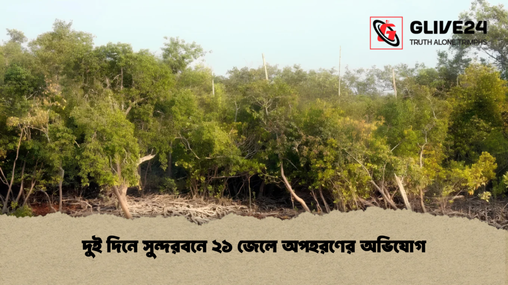 দুই দিনে সুন্দরবনে ২১ জেলে অপহরণের অভিযোগ