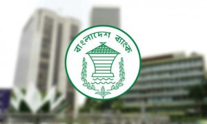 ধীর পুনরুদ্ধারের পথে অর্থনীতি, সামনে বহুমুখী ঝুঁকি