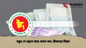 নতুন পে স্কেলে কার বেতন কত, হিসাবের নিয়ম (2)