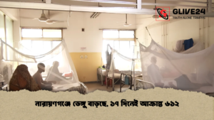 নারায়ণগঞ্জে ডেঙ্গু বাড়ছে, ১৭ দিনেই আক্রান্ত ৬১২