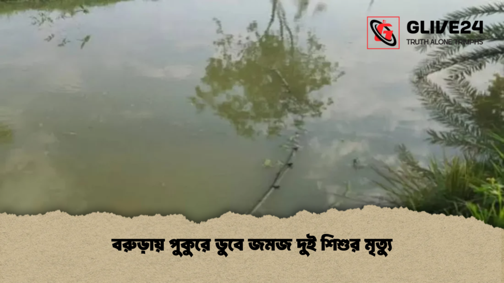 বরুড়ায় পুকুরে ডুবে জমজ দুই শিশুর মৃত্যু বরুড়ায় পুকুরে ডুবে জমজ দুই শিশুর মৃত্যু