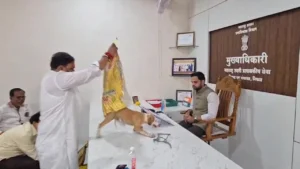 বেওয়ারিশ কুকুরের উৎপাত, কর্মকর্তার টেবিলে ছেড়ে দিলেন নেতাকর্মীরা