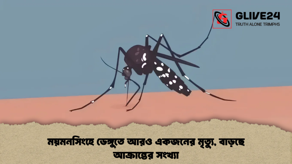 ময়মনসিংহে ডেঙ্গুতে আরও একজনের মৃত্যু, বাড়ছে আক্রান্তের সংখ্যা