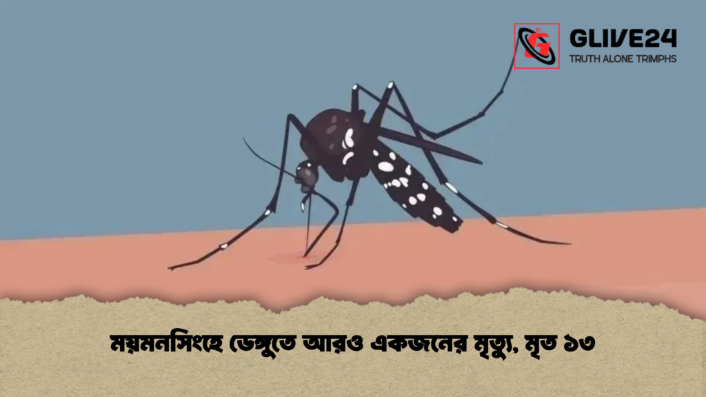 ময়মনসিংহে ডেঙ্গুতে আরও একজনের মৃত্যু, মৃত ১৩