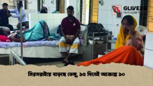 মিরসরাইয়ে বাড়ছে ডেঙ্গু, ১৫ দিনেই আক্রান্ত ১০