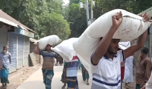 রৌমারীতে ডিলারের গুদাম ভেঙে সার নিলেন কৃষকেরা