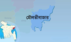 শ্রীমঙ্গলে বাস-অটোরিকশা সংঘর্ষে নিহত ৩ শ্রীমঙ্গলে বাস-অটোরিকশা সংঘর্ষে নিহত ৩