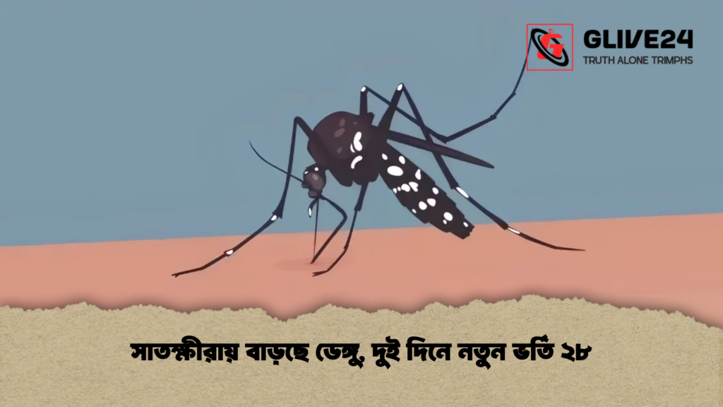 সাতক্ষীরায় বাড়ছে ডেঙ্গু, দুই দিনে নতুন ভর্তি ২৮ 3 সাতক্ষীরায় বাড়ছে ডেঙ্গু, দুই দিনে নতুন ভর্তি ২৮
