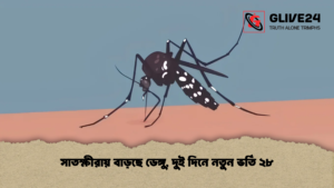 সাতক্ষীরায় বাড়ছে ডেঙ্গু, দুই দিনে নতুন ভর্তি ২৮