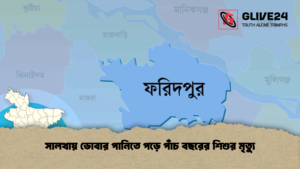 সালথায় ডোবার পানিতে পড়ে পাঁচ বছরের শিশুর মৃত্যু