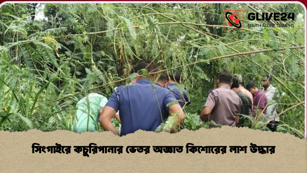 সিংগাইরে কচুরিপানার ভেতর অজ্ঞাত কিশোরের লাশ উদ্ধার