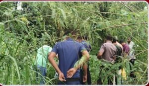 সিংগাইরে কচুরিপানার ভেতর অজ্ঞাত কিশোরের লাশ উদ্ধার