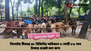 সিলেটের সীমান্তে ৪৮ বিজিবির অভিযানে ১ কোটি ৮৬ লাখ টাকার চোরাই মাল জব্দ