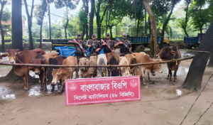 সিলেটের সীমান্তে ৪৮ বিজিবির অভিযানে ১ কোটি ৮৬ লাখ টাকার চোরাই মাল জব্দ