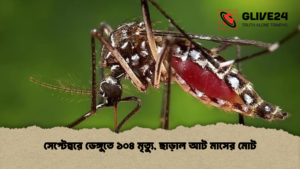 সেপ্টেম্বরে ডেঙ্গুতে ১০৪ মৃত্যু, ছাড়াল আট মাসের মোট