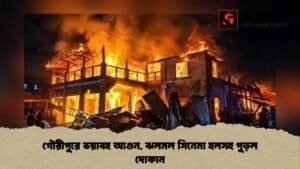 গৌরীপুরে ভয়াবহ আগুন, ঝলমল সিনেমা হলসহ পুড়ল দোকান