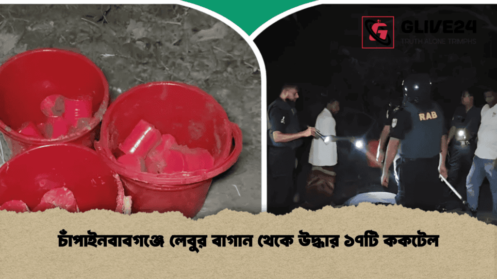 চাঁপাইনবাবগঞ্জে লেবুর বাগান থেকে উদ্ধার ১৭টি ককটেল