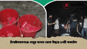 চাঁপাইনবাবগঞ্জে লেবুর বাগান থেকে উদ্ধার ১৭টি ককটেল