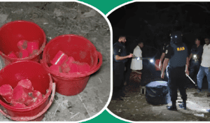 চাঁপাইনবাবগঞ্জে লেবুর বাগান থেকে উদ্ধার ১৭টি ককটেল