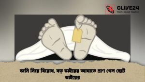 জমি নিয়ে বিরোধ, বড় ভাইয়ের আঘাতে প্রাণ গেল ছোট ভাইয়ের