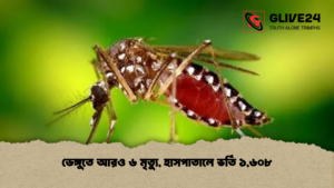 ডেঙ্গুতে আরও ৬ মৃত্যু, হাসপাতালে ভর্তি ১,৬০৮