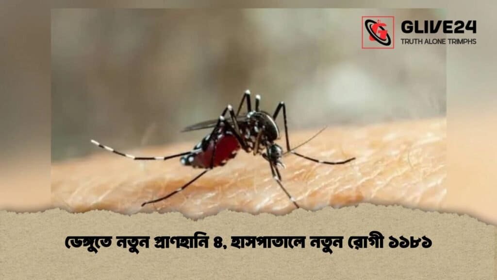 ডেঙ্গুতে নতুন প্রাণহানি ৪, হাসপাতালে নতুন রোগী ১১৮১ 1 ডেঙ্গুতে নতুন প্রাণহানি ৪, হাসপাতালে নতুন রোগী ১১৮১