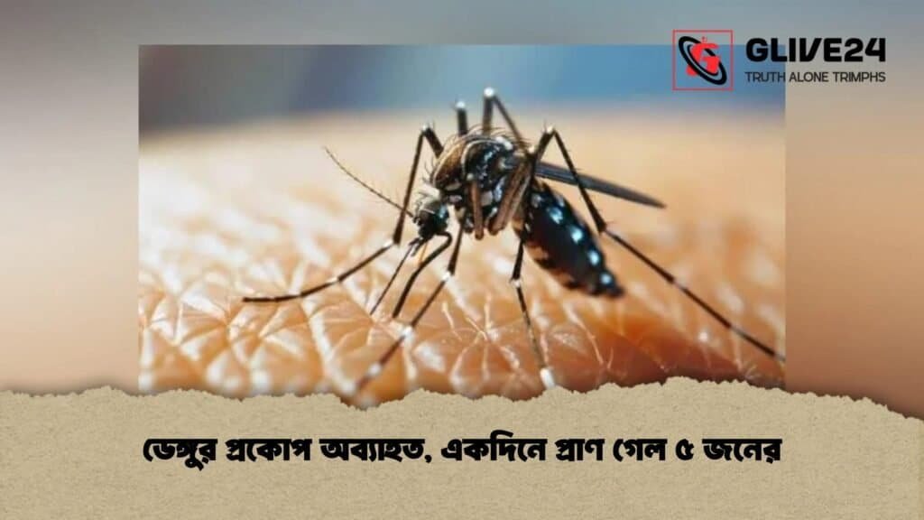 ডেঙ্গুর প্রকোপ অব্যাহত, একদিনে প্রাণ গেল ৫ জনের