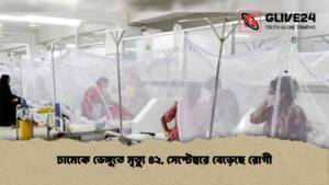 ঢামেকে ডেঙ্গুতে মৃত্যু ৪২, সেপ্টেম্বরে বেড়েছে রোগী