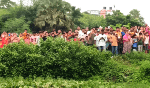 দুর্গন্ধ পেয়ে ঝোপে মিলল সবজি বিক্রেতার গলাকাটা মরদেহ