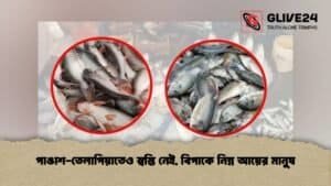 পাঙাশ-তেলাপিয়াতেও স্বস্তি নেই, বিপাকে নিম্ন আয়ের মানুষ পাঙাশ-তেলাপিয়াতেও স্বস্তি নেই, বিপাকে নিম্ন আয়ের মানুষ