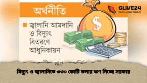 বিদ্যুৎ ও জ্বালানিতে ৩৩০ কোটি ডলার ঋণ নিচ্ছে সরকার